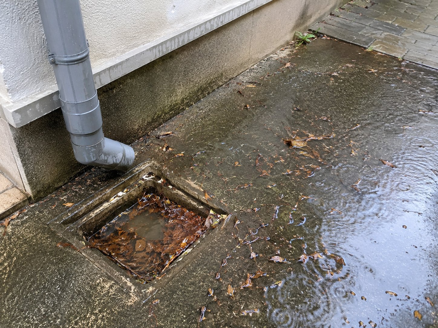 屋外排水管・雨水桝・汚水枡のつまり